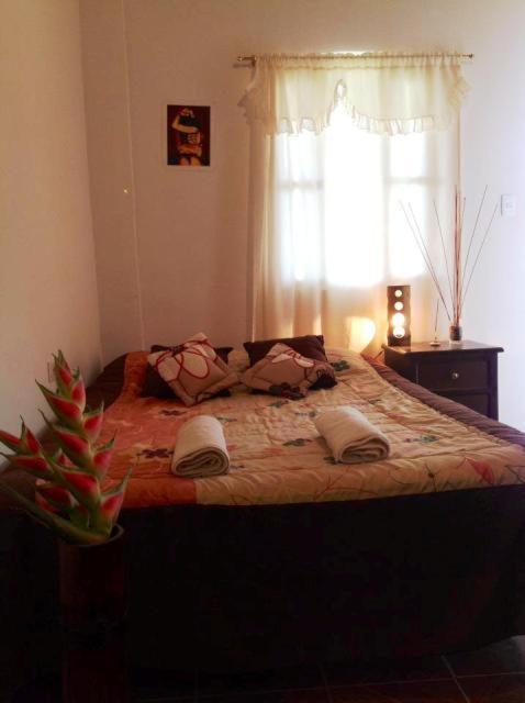 Hosteria Mindo Samay Juku Rum bild